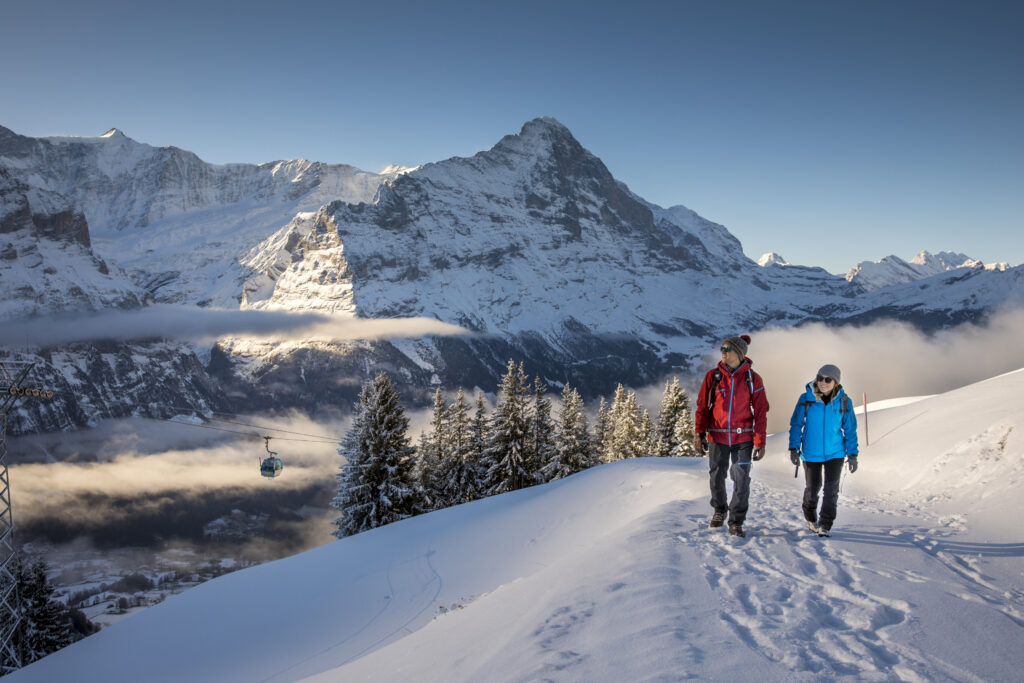 Winter in Grindelwald